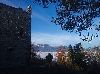 Cliquez ici pour voir l'image (634 20181107_083155.jpg)